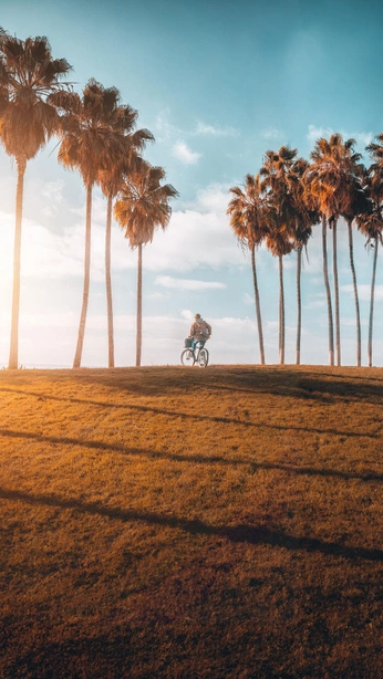 A cover of "Videos" cluster. The owner is topher. The cluster consists of 162 elements.