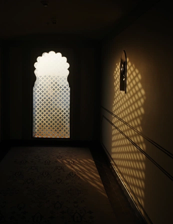 A cover of "jaipur" cluster. The owner is aayush. The cluster consists of 20 elements.