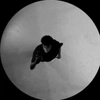 caleb's avatar