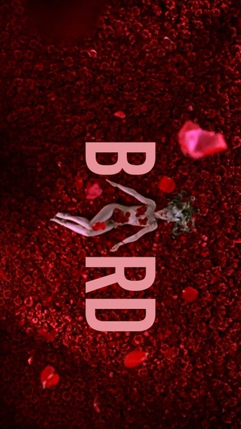 A cover of "the wind" cluster. The owner is friskyj. The cluster consists of 121 elements.