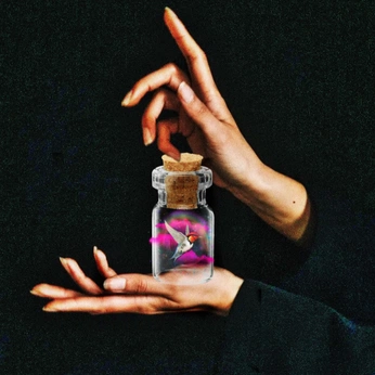 A cover of "Picsart pics" cluster. The owner is wilsonpics. The cluster consists of 12 elements.