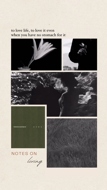 A cover of "Moodboard" cluster. The owner is 1910praveen. The cluster consists of 1 element.