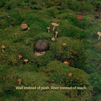 A cover of "earthing" cluster. The owner is fatimacarpizo. The cluster description is "organic, slow living, solar punk, circular design, mushrooms, ph psych". The cluster consists of 26 elements.