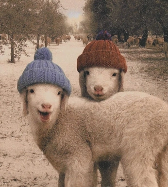 A cover of "à" cluster. The owner is aleagrtznr. The cluster consists of 1 element.