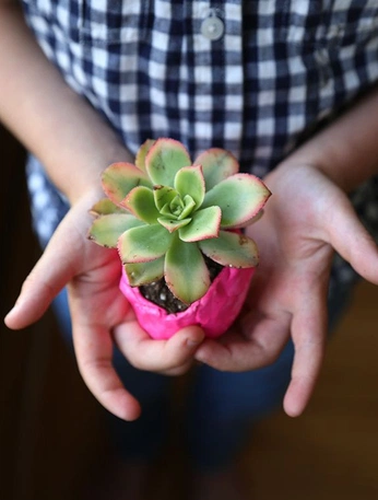 A cover of "Art" cluster. The owner is ashdaddy. The cluster consists of 134 elements.