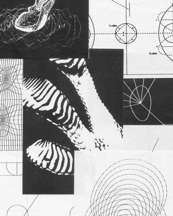 A cover of "Insporation" cluster. The owner is mariemamontov. The cluster consists of 3 elements.