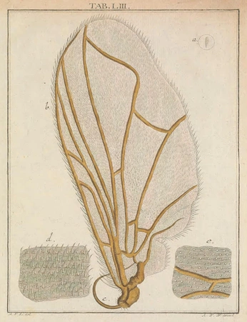 A cover of "Nature" cluster. The owner is driverdesign. The cluster consists of 24 elements.