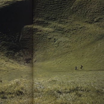 A cover of "disco images" cluster. The owner is campa. The cluster description is "references". The cluster consists of 29 elements.