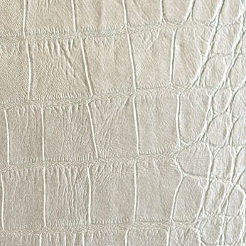 A cover of "Texture" cluster. The owner is terezamunnigh. The cluster consists of 12 elements.