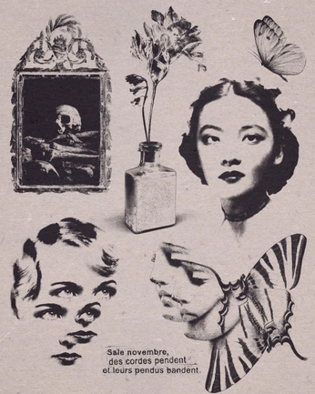 A cover of "Ancestral Cosmetics" cluster. The owner is houseofhaddon. The cluster consists of 63 elements. 2 create it.