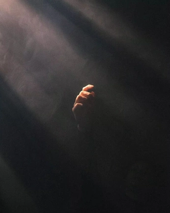 A cover of "Winner Winner Chicken" cluster. The owner is thegurr. The cluster consists of 45 elements.