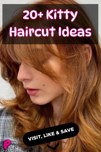 A cover of "Kitty Haircut Ideas" cluster. The owner is pookieelife. The cluster consists of 3 elements.