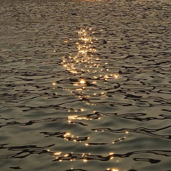 A cover of "🧡" cluster. The owner is lks312x. The cluster consists of 6 elements.