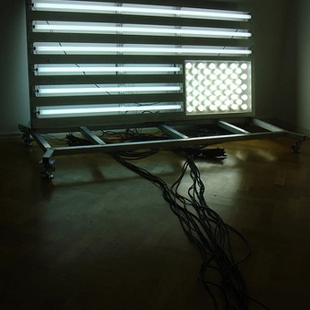 A cover of "U.S. Politics" cluster. The owner is gjgreenlea. The cluster consists of 67 elements.