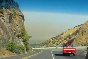 Katherine Ferguson avatar