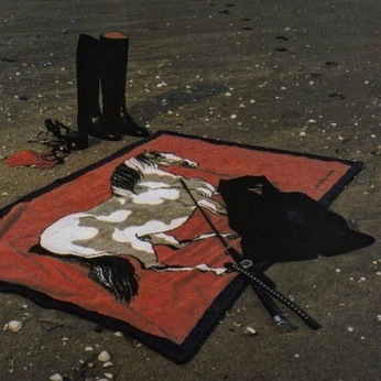 A cover of "filler" cluster. The owner is alecatayan. The cluster consists of 39 elements.