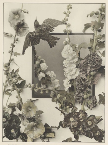 A cover of "Surface Design/ Sprigs" cluster. The owner is jvckiesvntos. The cluster consists of 4 elements.