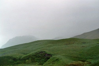 A cover of "many nights" cluster. The owner is merrtataa. The cluster consists of 9 elements.