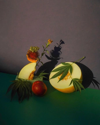 A cover of "Flore" cluster. The owner is anoukgc. The cluster consists of 27 elements.