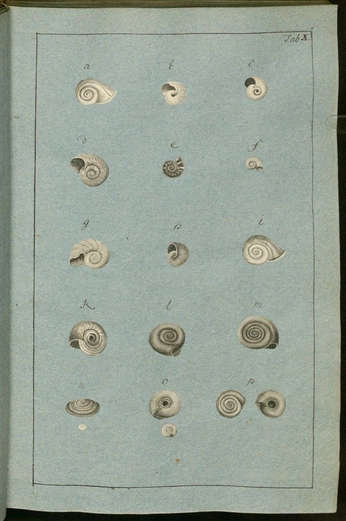 A cover of "graphic" cluster. The owner is siramtss. The cluster consists of 7 elements.