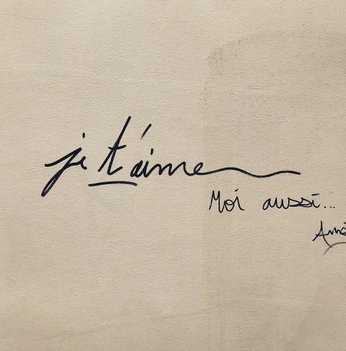 A cover of "àne-moi" cluster. The owner is sui.generis. The cluster consists of 171 elements.