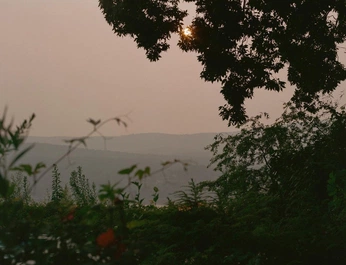 A cover of "reference" cluster. The owner is pamtis. The cluster consists of 8 elements.