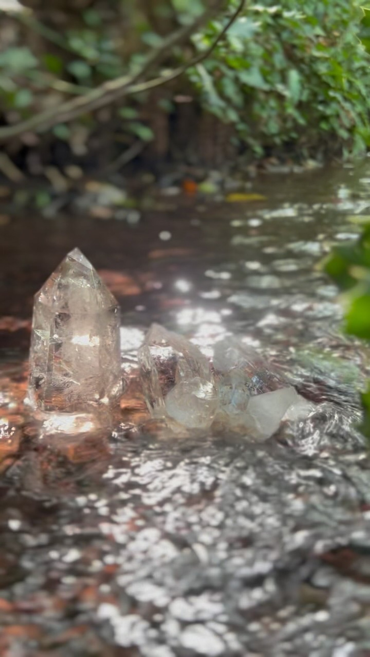 Thumbnail of Found on Cosmos