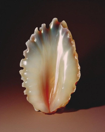 A cover of "MICRO" cluster. The owner is aseance. The cluster consists of 9 elements.