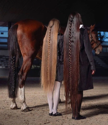 A cover of "pelo" cluster. The owner is 0000000. The cluster consists of 21 elements.