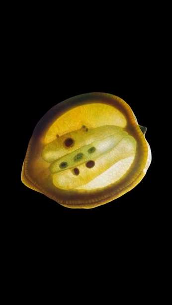 A cover of "Bt" cluster. The owner is sachalemp. The cluster consists of 27 elements.