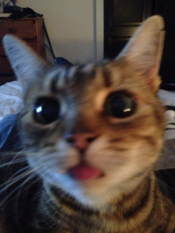 A cover of "Grace (who am i)" cluster. The owner is adlover. The cluster consists of 14 elements.