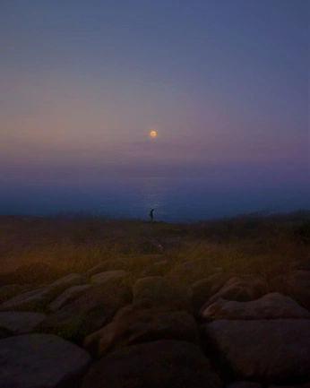 A cover of "Green and blue" cluster. The owner is lucylostagain. The cluster consists of 16 elements.