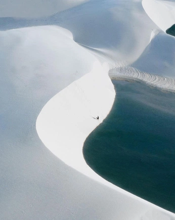 A cover of "art" cluster. The owner is sophiabianco. The cluster consists of 4 elements.