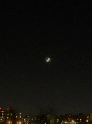 Julia Zakharova  avatar