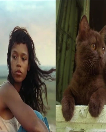 A cover of "⭒ fav celebs" cluster. The owner is lucinedeer. The cluster consists of 112 elements.