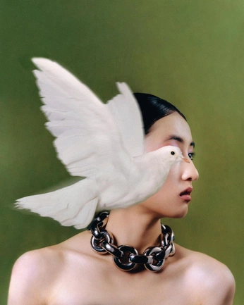 A cover of "magazine" cluster. The owner is momioo. The cluster consists of 35 elements.