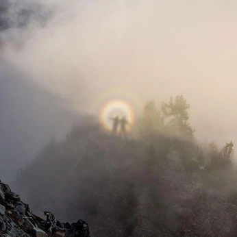 A cover of "VI" cluster. The owner is kafka. The cluster consists of 4 elements.