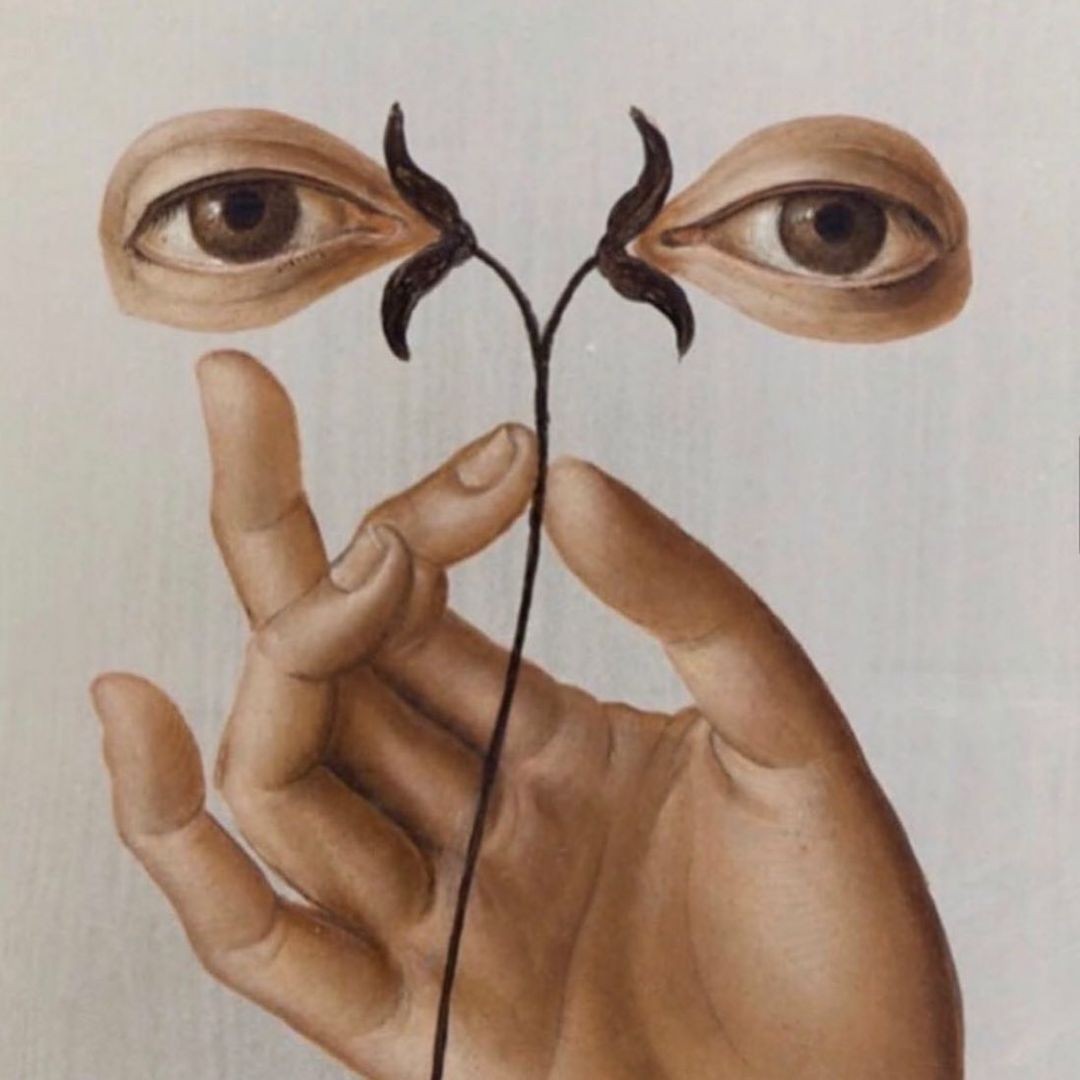 I'm an Art Curator ...