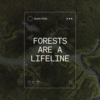 A cover of "Los Alisos 2025" cluster. The owner is teran. The cluster consists of 19 elements.