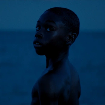 A cover of "Films" cluster. The owner is ryanbelk. The cluster consists of 292 elements.