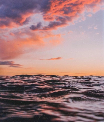 A cover of "Photography" cluster. The owner is raeintheclouds. The cluster description is "Pretty self-explanitory". The cluster consists of 17 elements.