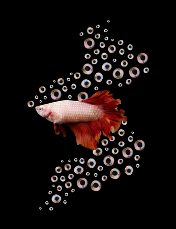 A cover of "Hulias" cluster. The owner is jules.jules. The cluster consists of 5 elements.