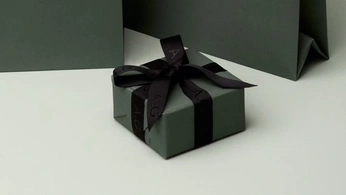 A cover of "vna flight" cluster. The owner is dpfam27. The cluster consists of 1 element.