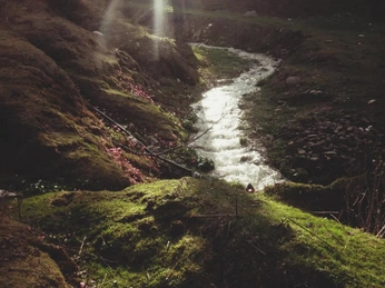 A cover of "nature_01" cluster. The owner is ch1p666. The cluster consists of 6 elements.