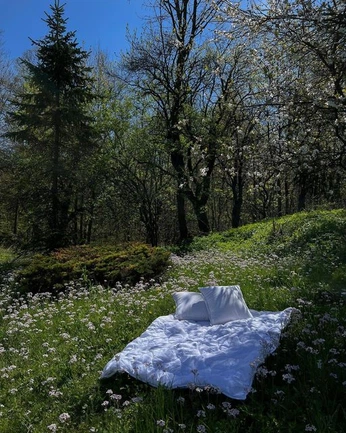 A cover of "Perfect Day" cluster. The owner is doasalicedoes. The cluster consists of 2 elements.