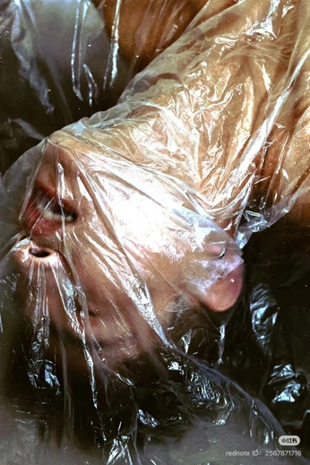 A cover of "recherches" cluster. The owner is ewhithouth. The cluster consists of 201 elements.