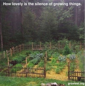 A cover of "digital garden" cluster. The owner is emmanemmm. The cluster consists of 6 elements.