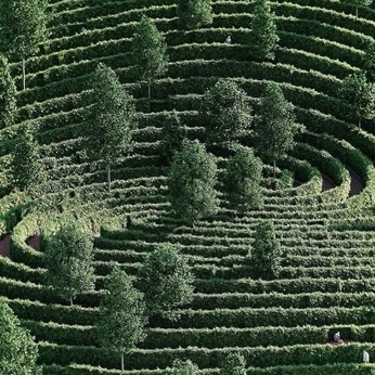 A cover of "trendonderzoek" cluster. The owner is yillakwee. The cluster consists of 34 elements.