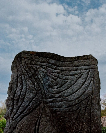 A cover of "land" cluster. The owner is moyes. The cluster consists of 8 elements.