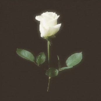 A cover of "misc" cluster. The owner is jaake. The cluster consists of 4 elements.